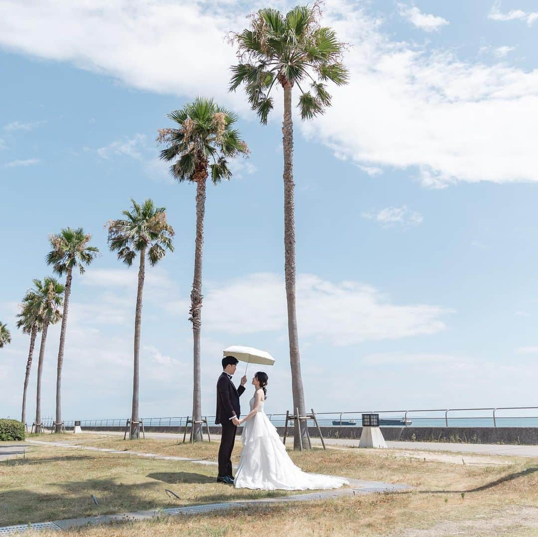 Studio TVB Kobeのインスタグラム：「舞子浜🌵  photographer : Shinji Suzuki hairmake : Arisa Sekimoto  @studiotvb_kobe @decollte_weddingphoto —————————————— #d_weddingphoto #舞子浜 #洋装ロケーション #日本中のプレ花嫁さんと繋がりたい #全国のプレ花嫁さんと繋がりたい #写真好きな人と繋がりたい #fineartwedding  #weddingphotoinspiration #ベロアリボン  #カラードレス  #ウェディングフォトグラファー #フォトウェディング #ナチュラルウェディング #関西プレ花嫁 #マタニティフォト #ウェディングフォト #myweddingday #撮る結婚式 #神戸花嫁 #instaweddings #スタジオtvb神戸 #神戸前撮り #フォトスタジオ #photogenic_jp #関西花嫁さんと繋がりたい #tokyocameraclub  #幸せな瞬間をもっと世界に #photography  #ウエディングドレス #エンゲージフォト」