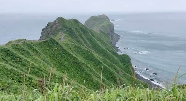 藤崎奈々子さんのインスタグラム写真 - (藤崎奈々子Instagram)「⁡ \1人旅での悲劇！嵐の神威岬/ ⁡ 美味しいランチも食べて、いよいよメインの積丹ブルーを見るために神威岬へ！！ ⁡ あれ？さっきまで晴れてたよね⁇ ソラモヨウガ…オカシクナッテルヨ？ あっという間に台風並みの嵐 ⁡ 私の顔も死んでいる…(5枚目) ・ 傘ではどうにもならないと悟ってカッパ買ったよ ⁡ もはや積丹ブルーが積丹グレーだよ（涙） ここまで来たら、積丹グレーを見に神威岬の先端まで絶対行ってやる！と雨と風でぐっちゃぐちゃになった顔と頭で足早に進む私 ・ そこで目に飛び込んで来た看板を見て我が目を疑ったよね ⁡ 「強風のため通行止」 ⁡ ナニコレ？ ナンノシウチ？ カミサマ？ ドシタノ？ ⁡(6枚目.驚愕の表情)  念願の神威岬…歩けず… ちーん  ピヨちゃんの背中も悲しそう ・ かわいそうな私の様子は近々 YouTube 旅する藤崎奈々子で公開しますので ぜひ、見てあげてください  地獄の神威岬です（笑） 台風中継みたいな絵面が続きま ・ #小旅行 #旅行好き #旅行好き女子 #大人旅 #カメラ旅 #女子旅 #国内旅行 #ナナタビ #ナナコタビ #北海道旅行 #一人旅女子 #バスツアー #大人の絶景旅 #積丹半島 #神威岬 #嵐」8月30日 17時58分 - nanakofujisaki