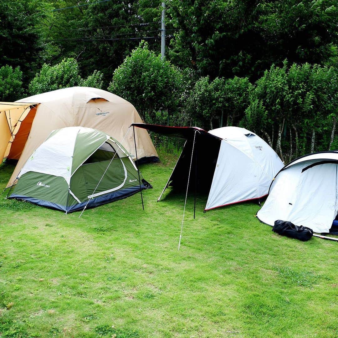 キャンプ情報サイト［ランタン］のインスタグラム：「CAMP SMILE STYLE ／ 趣味の合う仲間とグループキャンプ。 久々の集まりで笑いが絶えない ＼ いろんなキャンパーのキャンプスタイルを現地取材と一般キャンパーからの投稿で数多く掲載してます。 . . 詳しくは @lantern.camp webサイトをご覧ください . . #camp #camping #camplife #outdoor #travel #trip #lantern_smile #キャンプ #キャンプ用品 #アウトドア #テント #自然 #旅行 #キャンプ初心者 #キャンプ好きな人と繋がりたい #アウトドア好きな人と繋がりたい #camper #外遊び #キャンプスタイル #LANTERNCAMPINGFIELDMORIYA #グループキャンプ #グルキャン #Coleman #コールマン #ファイアーディスク #焚き火台 #iwatani #岩谷産業 #タフまる」