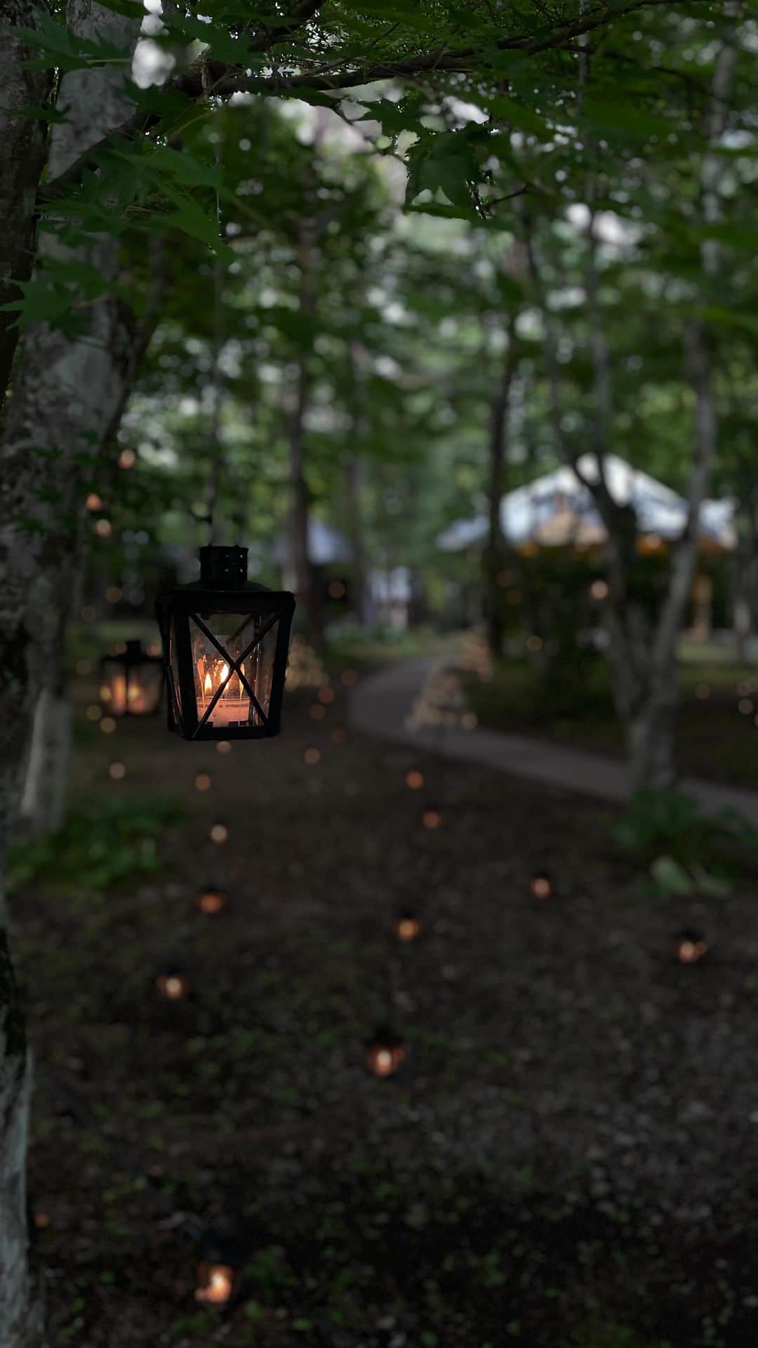 シェンのインスタグラム：「サマーキャンドルナイト🌿🕯️💫」
