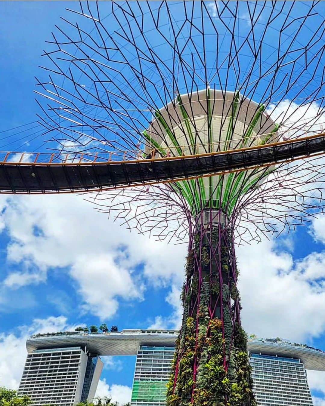 エイチ・アイ・エスさんのインスタグラム写真 - (エイチ・アイ・エスInstagram)「＼シンガポールで見逃せない‼️巨大植物園🌳／  面白い観光スポットがたくさんあるシンガポール🇸🇬 巨大植物園"ガーデンズ・バイ・ザ・ベイ"は、特徴的なスーパーツリーと世界中から集められた植物が展示されていて、大人も子供も楽しめるスポット🚩  世界最大のガラス張りの温室として、ギネス世界記録にも登録されています👏 植物好き、建築好きの人は一度は行ってみたいスポットではないでしょうか👀  マリーナベイ・サンズも望めて、シンガポールらしい雰囲気も味わえますよ✨ 夜のショーも必見🔥 …………………………………………………………… 📍  #ガーデンズバイザベイ  📸 @mamiii671roe さん  MARINA BAY SANDSのすぐ隣にあるGardens by the Bayは、 シンガポールの近未来植物園。 見所はやはり高さ25〜50mの巨大なツリーが並ぶスーパーツリー!! ……………………………………………………………  旅先探しのヒントは こちらをチェック▶︎▶︎▶︎ @his_japan   —————— 📷旅のお写真募集中✈️ ——————  皆さんの旅の思い出は、@his_japan OR #his_japan2023 を付けてシェアしてください🙌 過去PICもOKです❗️  集まったお写真は、HISのSNSやオウンドメディアでご紹介🙆‍♀️  #旅の思い出 #海外旅行  #アジアおすすめスポット #シンガポールおすすめ #シンガポール観光スポット #マリーナベイサンズ #シンガポール旅行 #海外建築好き  #次の旅先リスト #旅行好きな人と繋がりたい #写真好きな人と繋がりたい #旅したくなるフォト #旅スタグラム #インスタトラベル #女子旅 #カップル旅 #家族旅行  #instatravel #instapassport #photooftheday #instaphotography #worldtravelpics #worldtraveler #japantravelphoto #singaporefood #singaporetravel #gardensbythebay」8月30日 18時30分 - his_japan
