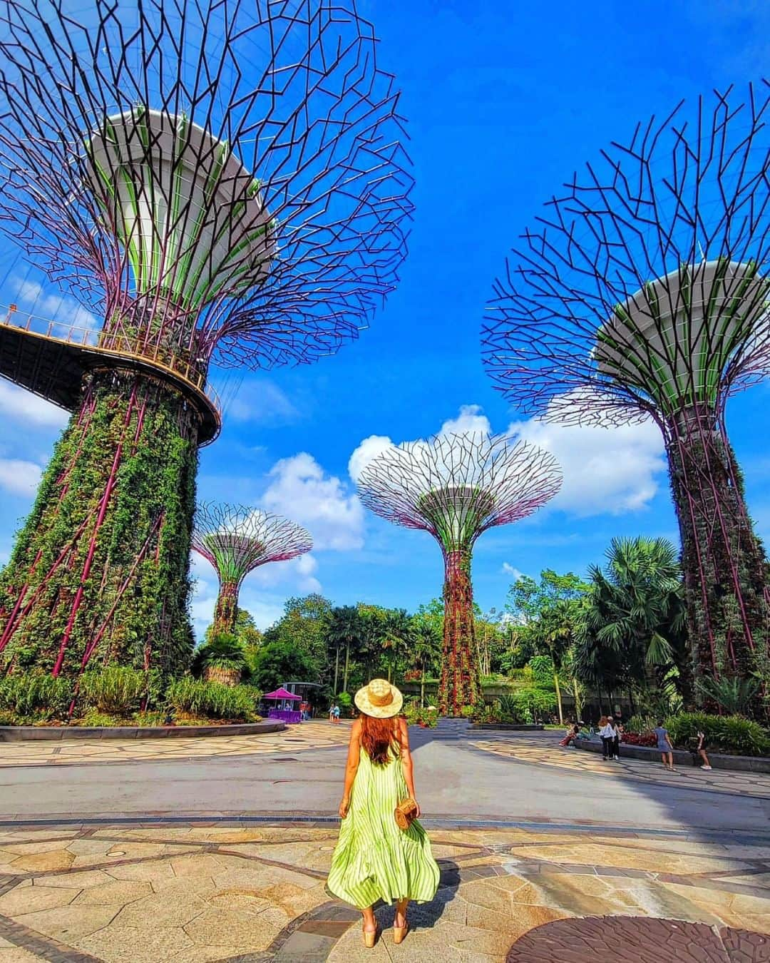 エイチ・アイ・エスさんのインスタグラム写真 - (エイチ・アイ・エスInstagram)「＼シンガポールで見逃せない‼️巨大植物園🌳／  面白い観光スポットがたくさんあるシンガポール🇸🇬 巨大植物園"ガーデンズ・バイ・ザ・ベイ"は、特徴的なスーパーツリーと世界中から集められた植物が展示されていて、大人も子供も楽しめるスポット🚩  世界最大のガラス張りの温室として、ギネス世界記録にも登録されています👏 植物好き、建築好きの人は一度は行ってみたいスポットではないでしょうか👀  マリーナベイ・サンズも望めて、シンガポールらしい雰囲気も味わえますよ✨ 夜のショーも必見🔥 …………………………………………………………… 📍  #ガーデンズバイザベイ  📸 @mamiii671roe さん  MARINA BAY SANDSのすぐ隣にあるGardens by the Bayは、 シンガポールの近未来植物園。 見所はやはり高さ25〜50mの巨大なツリーが並ぶスーパーツリー!! ……………………………………………………………  旅先探しのヒントは こちらをチェック▶︎▶︎▶︎ @his_japan   —————— 📷旅のお写真募集中✈️ ——————  皆さんの旅の思い出は、@his_japan OR #his_japan2023 を付けてシェアしてください🙌 過去PICもOKです❗️  集まったお写真は、HISのSNSやオウンドメディアでご紹介🙆‍♀️  #旅の思い出 #海外旅行  #アジアおすすめスポット #シンガポールおすすめ #シンガポール観光スポット #マリーナベイサンズ #シンガポール旅行 #海外建築好き  #次の旅先リスト #旅行好きな人と繋がりたい #写真好きな人と繋がりたい #旅したくなるフォト #旅スタグラム #インスタトラベル #女子旅 #カップル旅 #家族旅行  #instatravel #instapassport #photooftheday #instaphotography #worldtravelpics #worldtraveler #japantravelphoto #singaporefood #singaporetravel #gardensbythebay」8月30日 18時30分 - his_japan