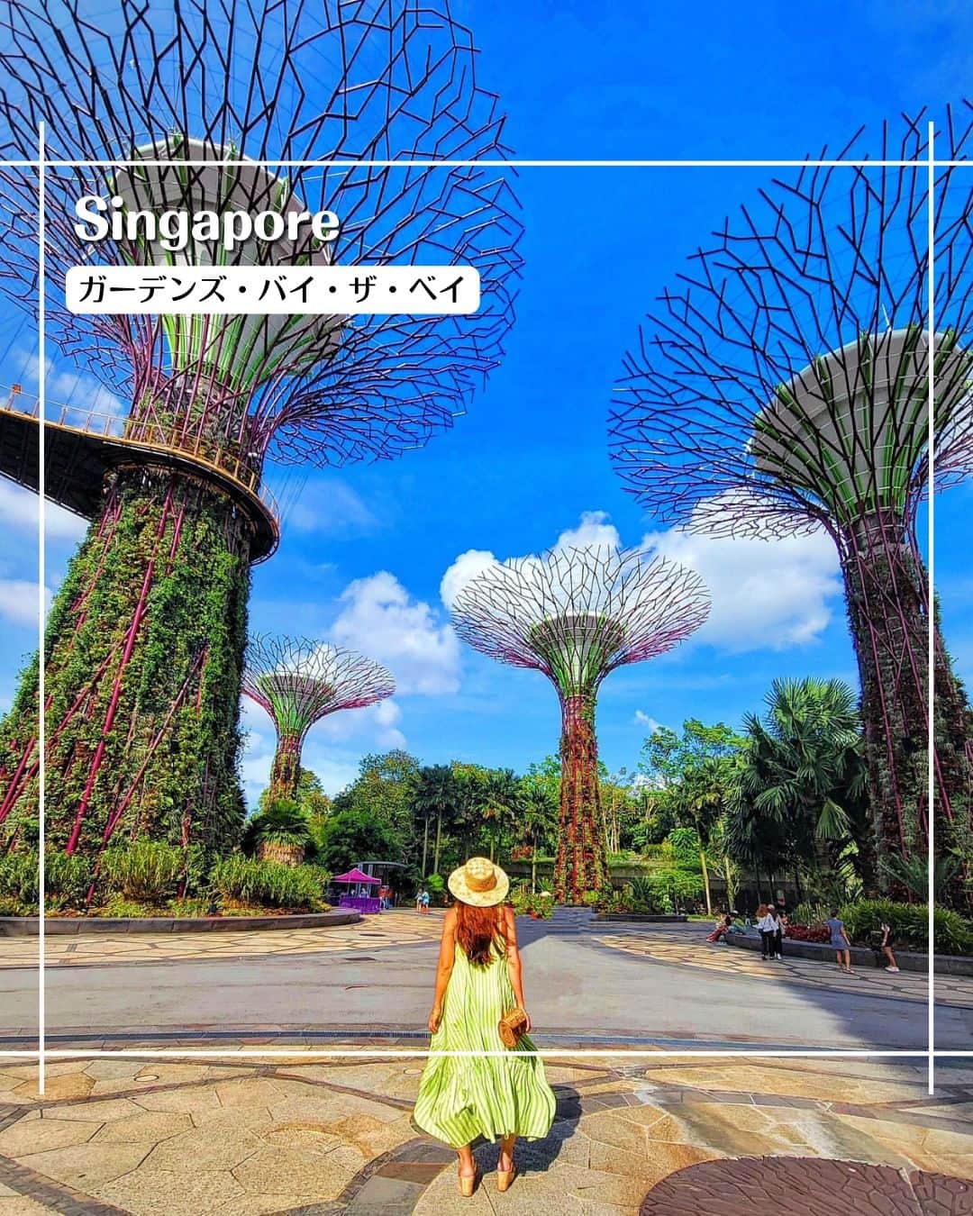 エイチ・アイ・エスのインスタグラム：「＼シンガポールで見逃せない‼️巨大植物園🌳／  面白い観光スポットがたくさんあるシンガポール🇸🇬 巨大植物園"ガーデンズ・バイ・ザ・ベイ"は、特徴的なスーパーツリーと世界中から集められた植物が展示されていて、大人も子供も楽しめるスポット🚩  世界最大のガラス張りの温室として、ギネス世界記録にも登録されています👏 植物好き、建築好きの人は一度は行ってみたいスポットではないでしょうか👀  マリーナベイ・サンズも望めて、シンガポールらしい雰囲気も味わえますよ✨ 夜のショーも必見🔥 …………………………………………………………… 📍  #ガーデンズバイザベイ  📸 @mamiii671roe さん  MARINA BAY SANDSのすぐ隣にあるGardens by the Bayは、 シンガポールの近未来植物園。 見所はやはり高さ25〜50mの巨大なツリーが並ぶスーパーツリー!! ……………………………………………………………  旅先探しのヒントは こちらをチェック▶︎▶︎▶︎ @his_japan   —————— 📷旅のお写真募集中✈️ ——————  皆さんの旅の思い出は、@his_japan OR #his_japan2023 を付けてシェアしてください🙌 過去PICもOKです❗️  集まったお写真は、HISのSNSやオウンドメディアでご紹介🙆‍♀️  #旅の思い出 #海外旅行  #アジアおすすめスポット #シンガポールおすすめ #シンガポール観光スポット #マリーナベイサンズ #シンガポール旅行 #海外建築好き  #次の旅先リスト #旅行好きな人と繋がりたい #写真好きな人と繋がりたい #旅したくなるフォト #旅スタグラム #インスタトラベル #女子旅 #カップル旅 #家族旅行  #instatravel #instapassport #photooftheday #instaphotography #worldtravelpics #worldtraveler #japantravelphoto #singaporefood #singaporetravel #gardensbythebay」