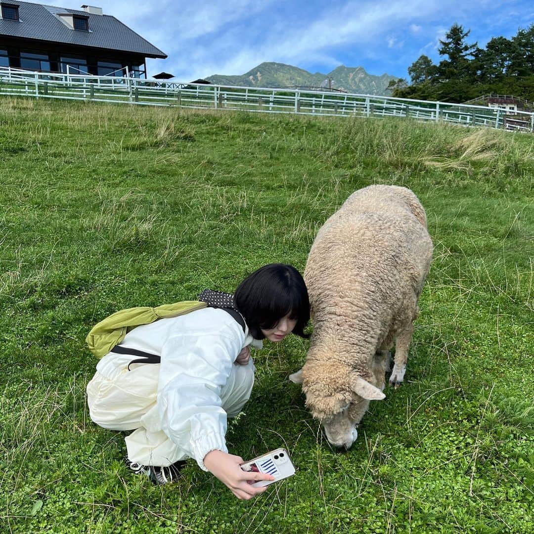 三嶋ひなさんのインスタグラム写真 - (三嶋ひなInstagram)「動物は癒しをくれるね」8月30日 18時53分 - hina__mishima