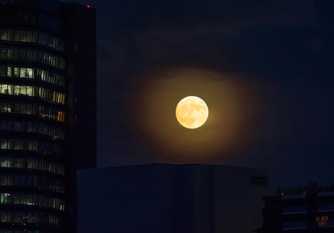 時任三郎のインスタグラム：「今日の月の出＠東京 満月は明日だけど、ほぼ満月ってことで笑 空気が湿っぽいので霞がかかってるね #満月 #スーパーブルームーン #月の出」