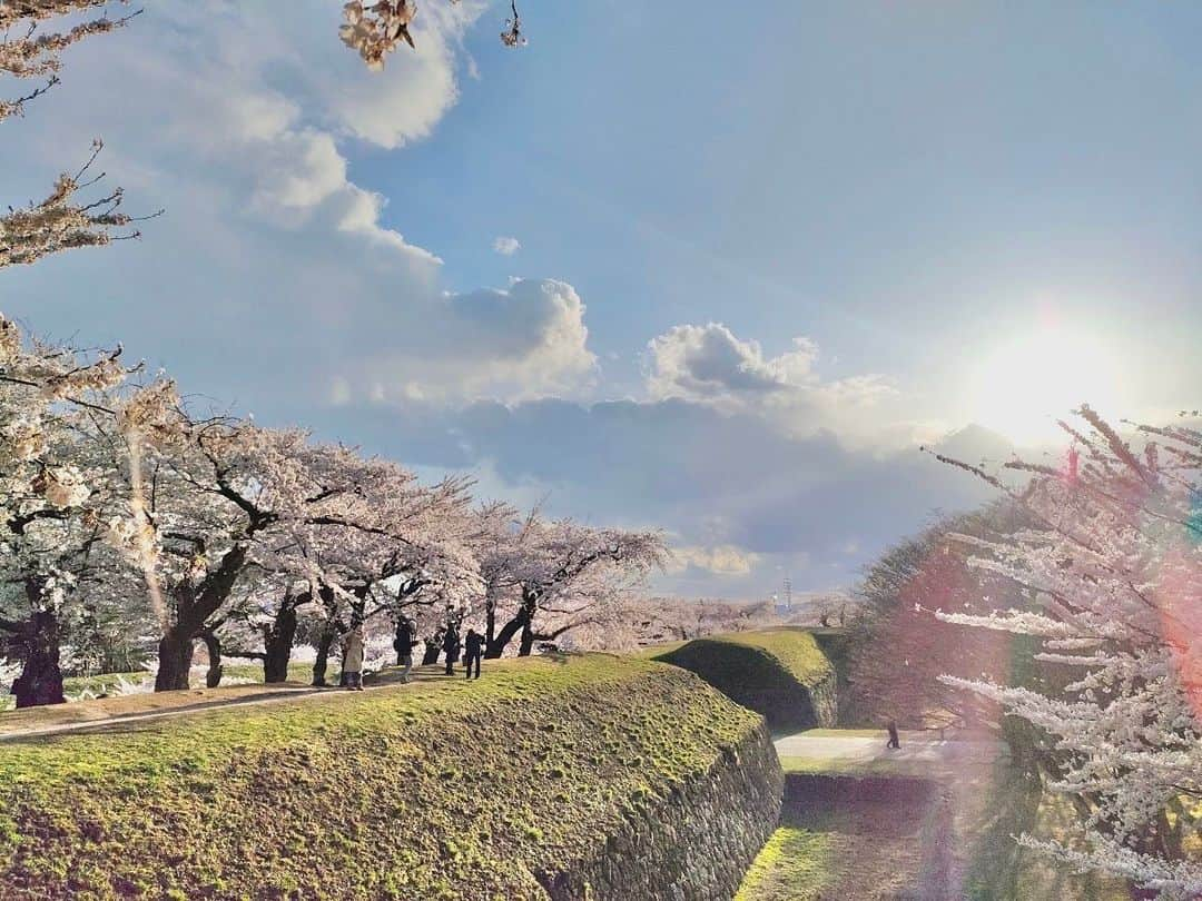 ボールドウィン零さんのインスタグラム写真 - (ボールドウィン零Instagram)「4月に五稜郭に行ったら桜が満開だったんです🌸  とっても綺麗だったなぁ💭  #五稜郭公園 #桜 #お花見」8月30日 19時08分 - ariga_rei