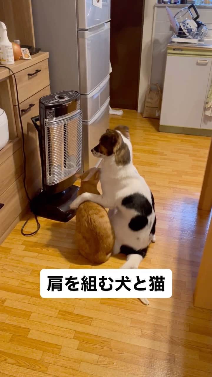 naomiのインスタグラム