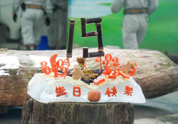 iPandaさんのインスタグラム写真 - (iPandaInstagram)「On August 30, the Taipei Zoo celebrated the 19th birthday of giant panda Yuan Yuan. Keepers gave her a special ice cake early in the morning, which was decorated with words "happy birthday" carved out of carrots. Yuan Yuan chose the sweet apple to eat first and made the classic move of overturning the cake. (Photo credit: Taipei Zoo 臺北市立動物園; special thanks to ETtoday新聞雲) 🐼 🐼 🐼 #Panda #iPanda #Cute #PandaNews #CCRCGP #WeAreFamily #PandaPic #FriendshipMessenger  For more panda information, please check out: http://en.ipanda.com」8月30日 19時30分 - ipandachannel