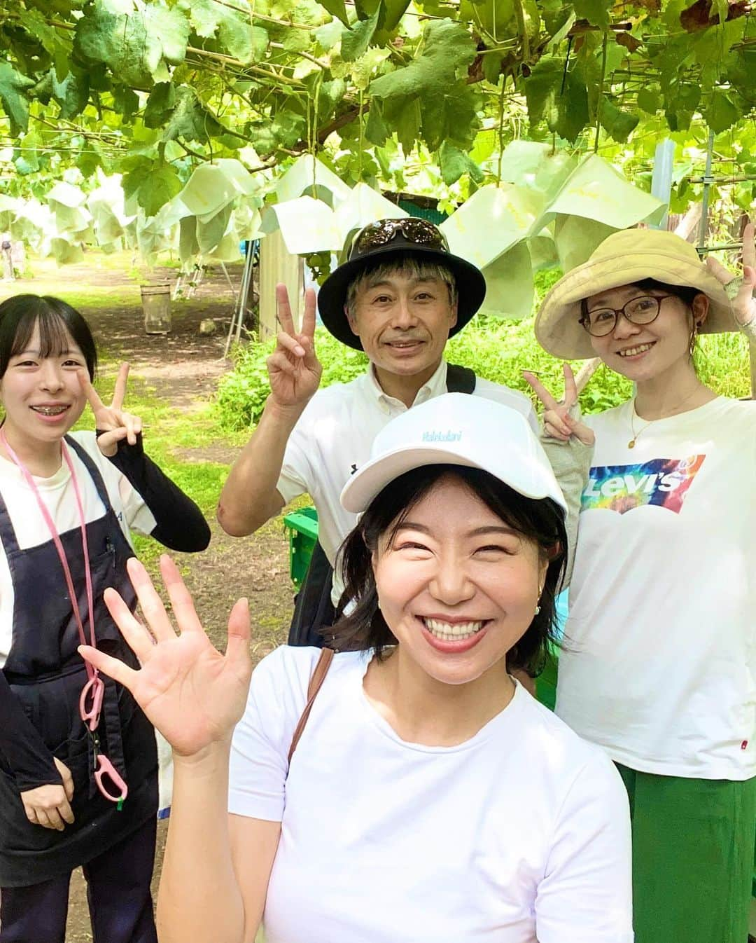 石岡麻奈美さんのインスタグラム写真 - (石岡麻奈美Instagram)「山梨と静岡のドライブ旅でした！ 旅もインスタライブもとっても楽しかったです。  最初はぶどう狩りに行きまして、もぎたての20種類のぶどうを試食させてもらいました🍇  見たことのない初めて食べるものばかりで全部味が違って感激の美味しさでした。狩ったシャインマスカットは最高級クラスで、もぎたてはみずみずしくとても甘かったです✨  ほうとうを食べ、富士サファリパークに行く予定が10分間に合わず閉園に…  代わりに富士山を車で少し登りました。涼しく森林の空気も気持ちが良かったです！  次回は富士サファリパークリベンジになりそうですね。 ぜひまたみなさんとライブも楽しめればと思います🤗  #山梨ぶどう狩り #ぶどう狩り #シャインマスカット狩り #山梨観光 #ほうとう #富士山 #ドライブ旅」8月30日 19時52分 - manami_ishioka