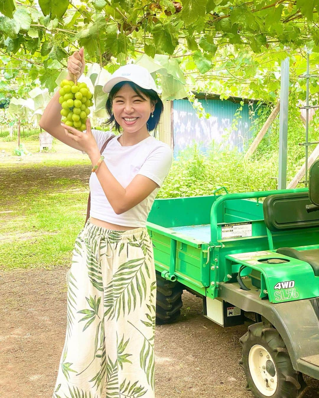 石岡麻奈美のインスタグラム：「山梨と静岡のドライブ旅でした！ 旅もインスタライブもとっても楽しかったです。  最初はぶどう狩りに行きまして、もぎたての20種類のぶどうを試食させてもらいました🍇  見たことのない初めて食べるものばかりで全部味が違って感激の美味しさでした。狩ったシャインマスカットは最高級クラスで、もぎたてはみずみずしくとても甘かったです✨  ほうとうを食べ、富士サファリパークに行く予定が10分間に合わず閉園に…  代わりに富士山を車で少し登りました。涼しく森林の空気も気持ちが良かったです！  次回は富士サファリパークリベンジになりそうですね。 ぜひまたみなさんとライブも楽しめればと思います🤗  #山梨ぶどう狩り #ぶどう狩り #シャインマスカット狩り #山梨観光 #ほうとう #富士山 #ドライブ旅」