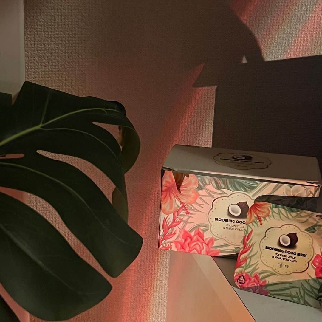 AOIのインスタグラム：「使ってるパック🥥🌱 匂いがお気に入りでプルプルなる🫶 プロフィールのリンクからチェック☑️」