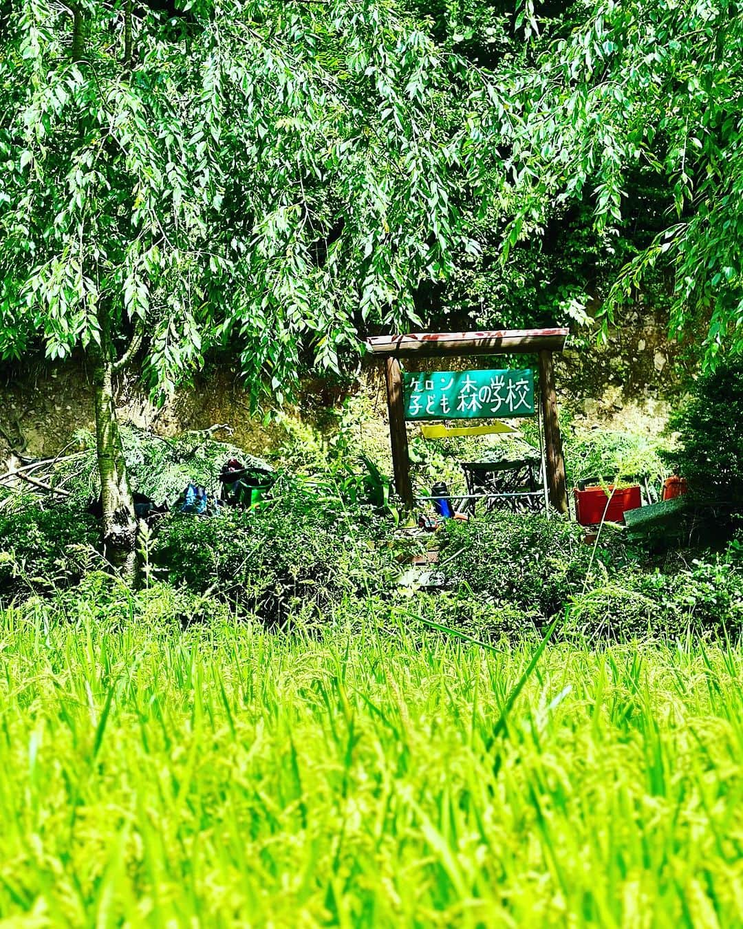 谷川じゅんじさんのインスタグラム写真 - (谷川じゅんじInstagram)「Noto nature experience 真脇遺跡にケロンの小さな村。能登の叡智は奥深い。大地に根付いた営みは、かく汗の量と比例して深まっていく。枝を払い土を堀り木を植える。水をひき稲を植え収穫を待つ。シンプルな継続に関わるコミュニティのリスペクト。ざわざわと膨らむ未来の芽。名残惜しむ間も無くあっという間にいつもの世界。行ったり来たりが心地良い。 #goodvibesonly #goodneighbors #thisisjapan」8月30日 20時00分 - junjitanigawa