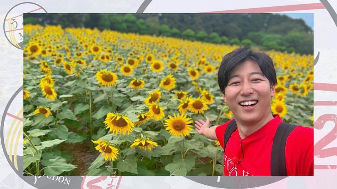 テレビ西日本「ももち浜ストア」さんのインスタグラム写真 - (テレビ西日本「ももち浜ストア」Instagram)「🍽📺 #今日のももち浜ストア   8/30(水)『うどんMAP』では、 アキラくん ( @akira_okazawa )が #能古島 の ｢耕ちゃんうどん｣と #志免町 の ｢活魚料理 松活｣を訪問😋✨   🌻📸満面の笑みのアキラくんに反し 若干下向きがちなひまわりさんもいますが 夏らしさ全開のオフショットです🤩 　 　 🌟 #ももち浜ストアの福岡市エリアPICKUP 🌟 #ももち浜ストアの糟屋エリアPICKUP 🥢 #ももち浜ストアのうどん特集 　 　 ✡ 耕ちゃんうどん 📍福岡市西区能古1624 のこのしまアイランドパーク内 趣のある店内で観光客からも大人気のお店   🥢 #能古うどん(冷やし) 830円(税込み) ☑️ 強いコシが特徴の能古うどんを 冷やして締めることで さらにコシが活かされる   🍚 #高菜めし 250円(税込み) ☑️ 食感を楽しめるよう たっぷり高菜を混ぜ合わせ 辛みは控えめで子どもからも人気 ☑️ 園内で栽培した高菜を使用 　   　 ✡ 活魚料理 松活 📍糟屋郡志免町南里4-12-12   🥢 #稲庭うどん(温) 710円(税込み) ☑️ 具材は天かす/油揚げ/鶏肉/かまぼこ など ☑️ ダシは子どもから年配の方まで飲みやすい優しい味わい ☑️ なめらかな舌ざわり&ツルツルとしたのどごしが特徴 　 🐟〈活〉#サバ造り 3630円(税込み) 　   次回は『 #水巻町 』からスタート予定！ 果たしてどんなうどんが登場するのか⁉️おたのしみに👀　     📺「うどんの人」 #岡澤アキラ( @akira_okazawa )が 福岡県内のうどん店を巡る「うどんMAP」は、 ももち浜ストア内で"毎週水曜日"に放送中！！ “ #うどん愛 ”あふれる 食べっぷりにも注目です😋   ※掲載の情報は全て放送時点での情報です。提供内容や金額が 変更となっている可能性がございますのでご了承ください。   ＝＝＝＝＝＝＝＝＝ [ももち浜ストア] ▪︎TNC テレビ西日本 ▪︎毎週月-金 9:50〜 『LIVE　福岡』を合言葉に、福岡の旬な出来事を #ももち浜 から さらに早く、より楽しく、わかりやすくお届けします！ ＝＝＝＝＝＝＝＝＝   #ももち浜ストア　#岡澤アキラ　 #福岡うどん #博多うどん #福岡グルメ #福岡ランチ #福岡ごはん #耕ちゃんうどん #能古島グルメ #活魚料理松活 #松活 #志免町 #志免町グルメ」8月30日 20時02分 - momochihamastore8