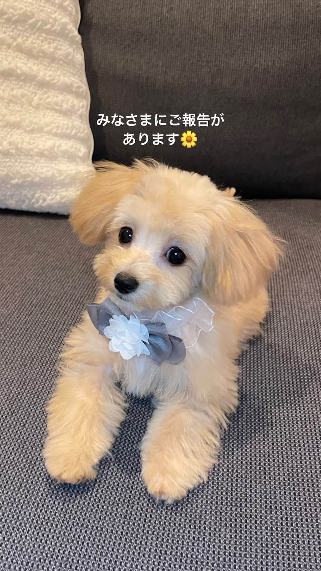 かなのインスタグラム
