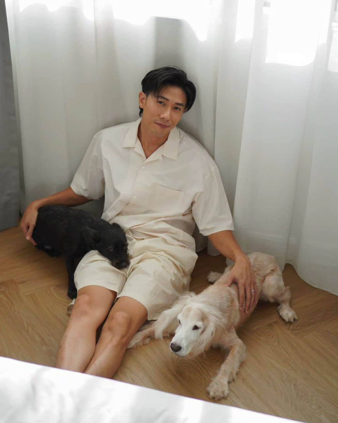 デスモンド・タンのインスタグラム：「Where there are dogs, there is a touch of heaven on Earth. 😇  I love my furry angels!  Watching my older boy, Hoshi, with his face embracing a graceful white hue and his body growing fragile with the passing years, I'm reminded of life's fragility. Amidst such thoughts, my heart is resolute - to cherish each moment and ensure our time together remains nothing short of the best. 💙  #HoshiTan #UdonTan #陈河狮 #陈乌东」