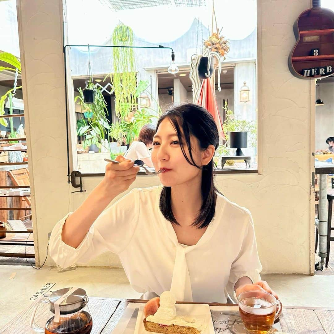 太田英里のインスタグラム：「桃すき🍑♡  #三重 #三重グルメ #三重カフェ #cafe8harb #三重観光 #観光 #津 #津カフェ #ランチ #津ランチ #ケーキ #ハーブティー #お洒落カフェ #cafe #lunch #観葉植物 #観葉植物のある暮らし #ハチトハーブ #桃 #紅茶 #タルト」