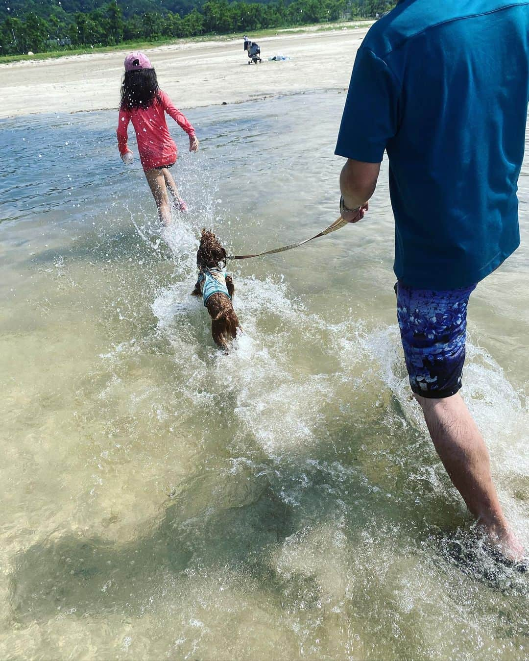 浅田芭路さんのインスタグラム写真 - (浅田芭路Instagram)「． 楽しかった夏休みもあっという間に終わりです😂☀️ 今年の夏は、お仕事も、遊びも、全力で楽しみました💪✨ 夏休みの思い出🍉五島旅行の後半🫶 上五島の蛤浜の遠くまで浅い海で遊んで、『舞いあがれ！』の五島の学校で山口先生役だった五島出身の永井さんのご両親のカフェ「holoholo」で美味しいご飯を食べさせてもらったり、あっという間だったけどとっても楽しい時間を過ごすことができました❣️ みんなとは、五島でお別れだったので、みんな見送ってからさいごは永井さんご夫妻に見送られて、船で🚢五島を後にしました🥲 お別れはさみしいけど、また会える日までがんばろう！と思います😊 来年も行きたいです❗️  #新上五島町 #蛤浜海水浴場  #holoholocafe  #舞いあがれ！ #五島列島 #あっがとねー @holoholo_cafe_goto」8月30日 20時39分 - asada_halo__official