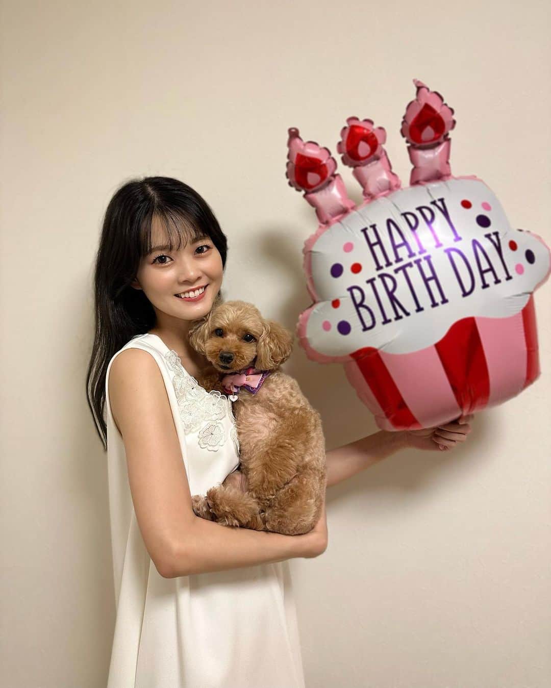 ほのかのインスタグラム：「. . 今日は愛犬8歳のお誕生日🐶 バルーンとリンクさせピンクの🎀のチョーカーを笑 . 実はだいぶ早めだけど家族が揃ったお盆にお祝いしました🎂(その時の写真) . . こっち🗼に出てきてすぐ会えなくなったけど、 毎日元気に過ごしてくれたら嬉しい…ただそれだけ🥹 . . 朝1、テレビ電話で お誕生日おめでとうって伝えました🐶😂 . . #愛犬の誕生日 #トイプードル #トイプードル男の子 #birthday #トイプードルレッド男の子」