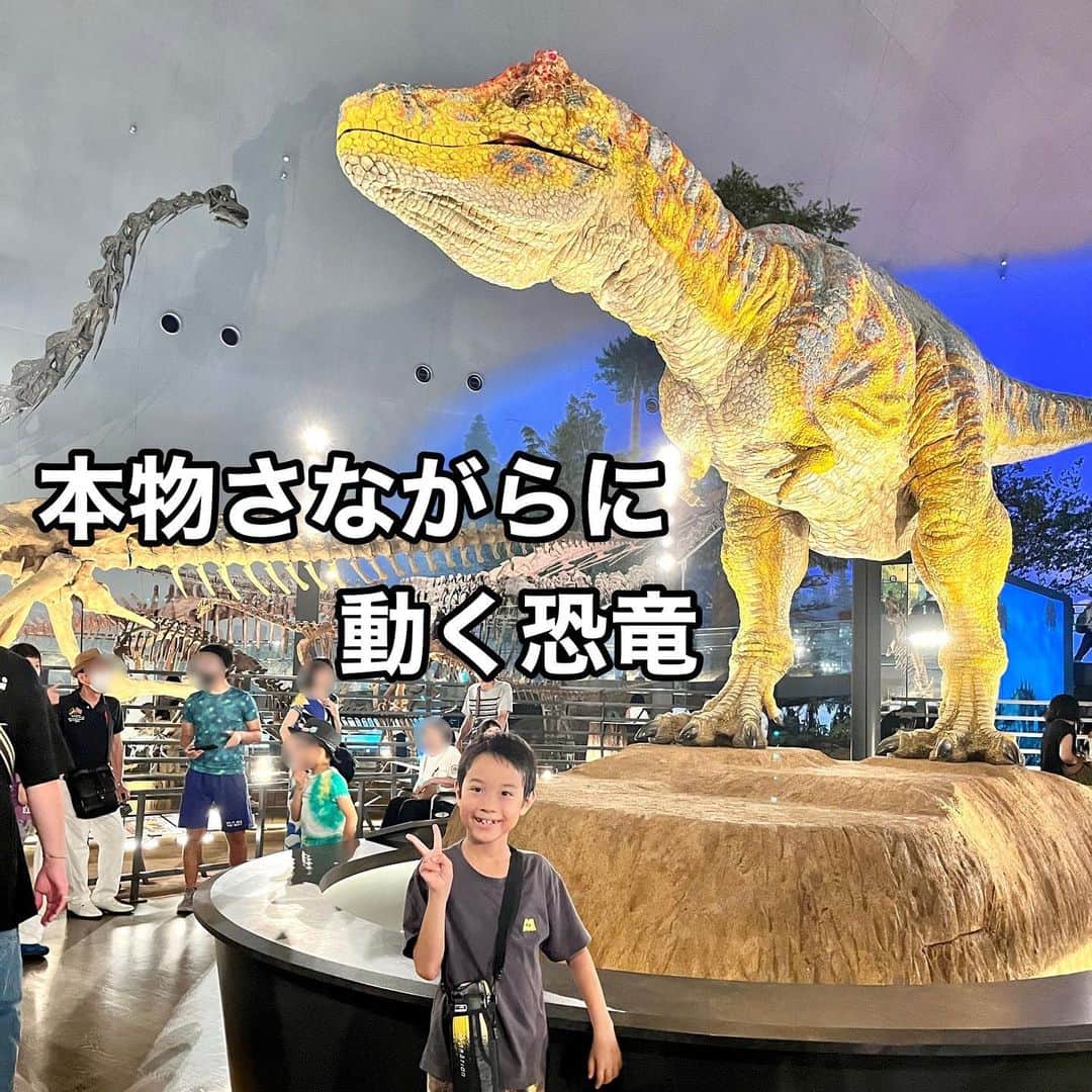 makikoさんのインスタグラム写真 - (makikoInstagram)「❤︎ 福井県の恐竜博物館へ行ってきたよ🦕🦖  博物館の近くにある道の駅に寄り道して、恐竜バーガー🍔食べたり、滑り台で遊んだり😊 滑り台は太陽であっつ熱に熱されてて滑るのは無理🤣🤣  恐竜博物館入っていきなり迫力満点の動くトリケラトプスがお出迎え🦖 その迫力にこっちゃんは完全にビビって表情が固まっておりました😅  映像で楽しめたり、実際に化石のクリーニングしてる所を間近で見学出来たり、なかなか見応えありました👏🏻🌟  #福井旅行 #恐竜博物館 #福井県立恐竜博物館  #道の駅恐竜渓谷かつやま」8月30日 20時35分 - batako93