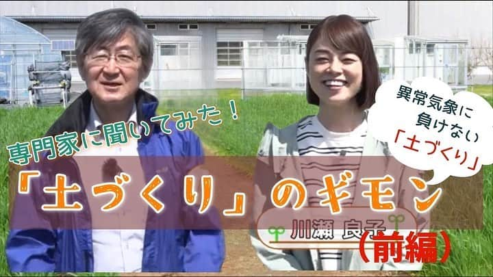 川瀬良子のインスタグラム：「こんにちは😊  農家さんにインタビューさせていただくと必ずと言って良いほど、みなさんが「土づくりが大事！」とおっしゃいます。  そこで👏🏻改めて、 土づくりとは？ どんな肥料がどんなときに必要なの？ などの疑問に、講師・金田先生に答えていただきました！  前編☀️ 専門家に聞いてみた！「土づくり」のギモン ～ [土から備える] 農業 vs 異常気象 ～  後編🐸  専門家に聞いてみた！「土づくり」のギモン ～「土づくり肥料の活用」～  こちらがYouTubeで公開されました！  農家さんも、家庭菜園を楽しんでいる方にとってもお役に立てると思います！  ぜひぜひ！ ご覧になってください😊👏🏻  YouTubeで【土づくり 川瀬良子】と、 検索してみてくださいね🍅  感想も、お待ちしています🎃  🌾🌾🌾  #土づくり #土 #肥料 #農家 さん #農業 #農作業 #畑 #家庭菜園 #野菜作り  #YouTube」