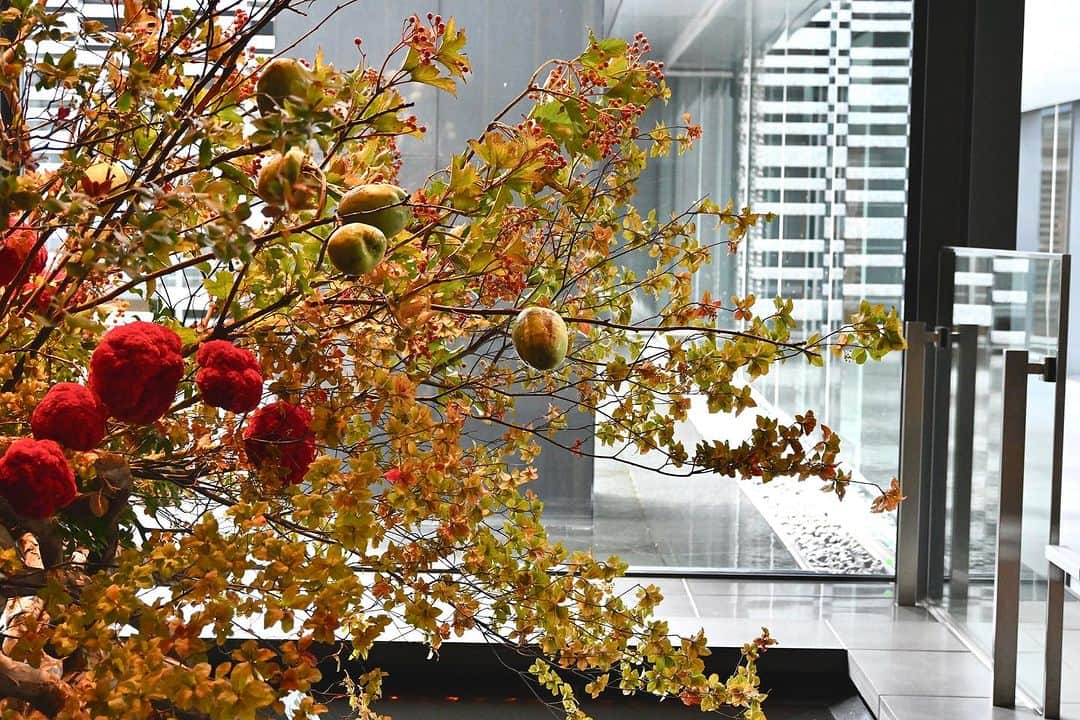 ザ・キャピトルホテル 東急 公式のインスタグラム：「タイトル【みのりの秋】  外はまだまだ暑いですが、#ロビー の草月流いけばなは一足早く「豊秋」をイメージした作品に活け変わりました。 かりんや赤い実をつける花材や、サルナシのつるや花器の色合いでよりナチュラルで優しい印象になるように仕上げていただきました。 #秋 のいけばながロビーで皆さまをお迎えしております。 __________  @hana_project   #ザキャピトルホテル東急 #TheCapitolHotelTokyu  #草月流 #いけばな #花 #花のある暮らし #ホテルロビー #hoteldesign #ikebana #flowerarrangement #sogetsu #flower #japaneseflowerarrangement #flowerstagram #lily #ThePreferredLife」