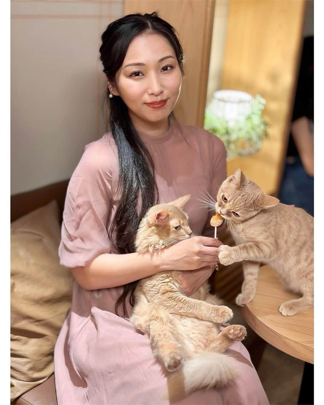 神戸麻衣さんのインスタグラム写真 - (神戸麻衣Instagram)「お友達と猫カフェ🐈☕️💕 今回は【猫カフェモカラウンジ新宿店】へ✨  たくさんのネコちゃんがいて癒された〜☺️💕 猫カフェは、基本的に猫ちゃんを抱っこするのはNG🙅‍♀️  今回はオプションの【ニャンニャンセット】で、猫ちゃんのおやつ+抱っこ撮影をしてもらいました🐈❤️ おやつを持っているだけで、たくさんのネコちゃんが寄ってきてくれる〜✨ とても癒されるし、ドリンクバーも付いているのでお友達とお話しながらゆっくりできました☺️  渋谷や原宿にもお店があって、かわいい猫ちゃんたちにたくさん会えます❣️  PR @catcafemocha 🐈🐈‍⬛🐈🐈‍⬛🐈🐈‍⬛🐈🐈‍⬛🐈🐈‍⬛  その後は、バスケ日本代表vsオーストラリアをお友達と観戦🏀♪  やはりオーストラリアは、背も高いし、セカンドチャンスをそのままゴールに押し込む場面もたくさんあった🙌 日本としては、3Pを打つチャンスもゴールアタックの機会にも恵まれたから、ドイツ戦よりも動けていて 3Pのショット数も成功数も上回っていた👏  前戦のフィンランドでは、DEFリバウンドも多く取れていて 積極的なゴールアタックやスピードでファールをもらえて、フリースローのチャンスを得ることができて良かった👏 BOXスコア的にもフリースローが勝負に大きな影響を与えてることが分かる✨  ホーキンソンのピック&ロールやダイブのタイミング、走り込みも本当に素晴らしい👏  そひて、富永くんが3Pを打てなくてもフェイントからのミドルやゴールアタックなどこの大会の中でも成長しているのがすごく分かった☺️✨  個人的にはフィンランドの時は、エンドスローインのDEFでゾーンだったのを 今回はマンツーに変えたのも良かったと思う👌  あとは、３-2のゾーンの裏と 味方がドライブ行った時に 合わせ&リバウンドに入った選手が見ちゃってて パスが取れなくてミスしてしまうような簡単な部分を気をつけたい…🥹  今回の大会の中で、カウンターでシュートを決め返す速攻の場面がかなりあって良かった‼️ 気持ちが落ちそうになりそうな時ほど流れを取り返す、ガン&ラン、そしてフィニッシュのダンクは最高☺️🔥  そして、オーストラリアのブースターさんの着てたシャツかわいい👕🇦🇺  順位決定戦もまだまだ楽しみ✊🔥  #東京猫カフェ #癒されスポット #ねこのいるカフェ #猫カフェmocha #新宿カフェ #猫カフェ #猫カフェモカラウンジ新宿店 #新宿猫カフェ #司会 #mc #モデル #model #リポーター #、ナレーター #reporter #ナレーション #スポーツmc  #イベント #イベントmc #神戸麻衣」8月30日 21時09分 - mai_g916