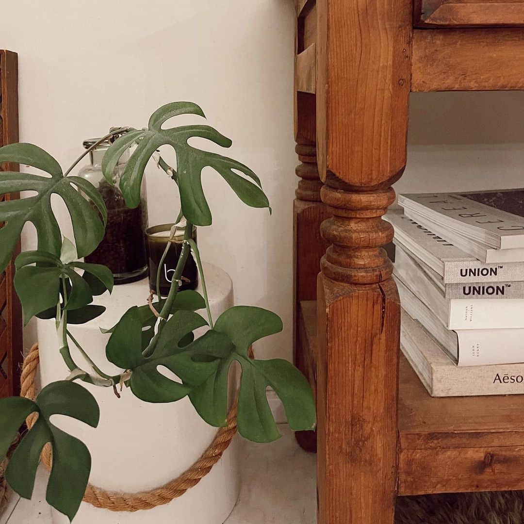 Love_Lifeのインスタグラム：「ヒメモンステラすくすく成長中🌿  #インテリア #interior #観葉植物のある暮らし」