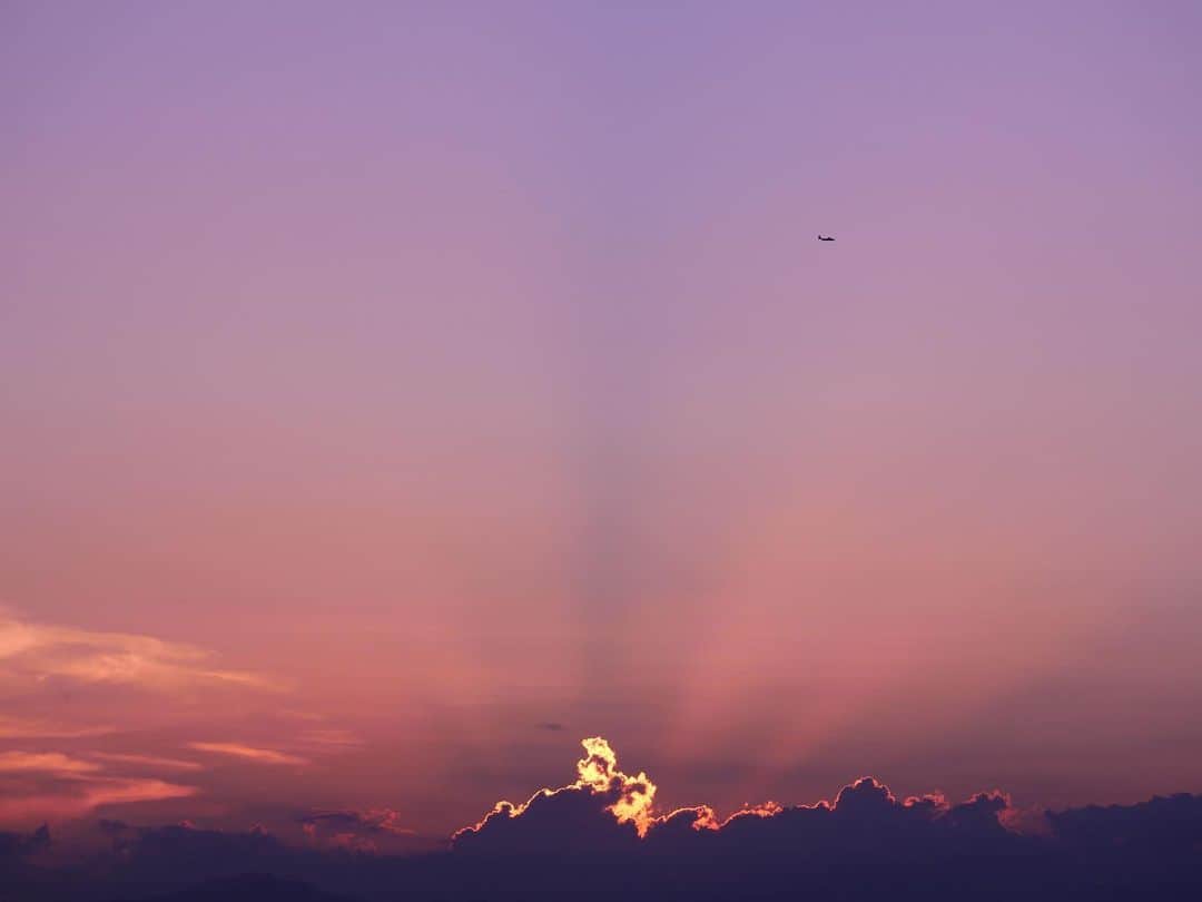 Aimerさんのインスタグラム写真 - (AimerInstagram)「⚯̫  茜さす 群青色の空  ✈︎」8月30日 21時44分 - aimer_0907_official