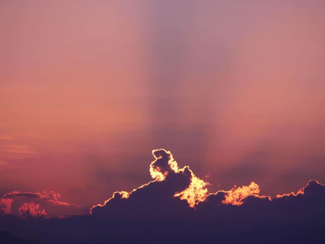 Aimerのインスタグラム：「⚯̫  茜さす 群青色の空  ✈︎」