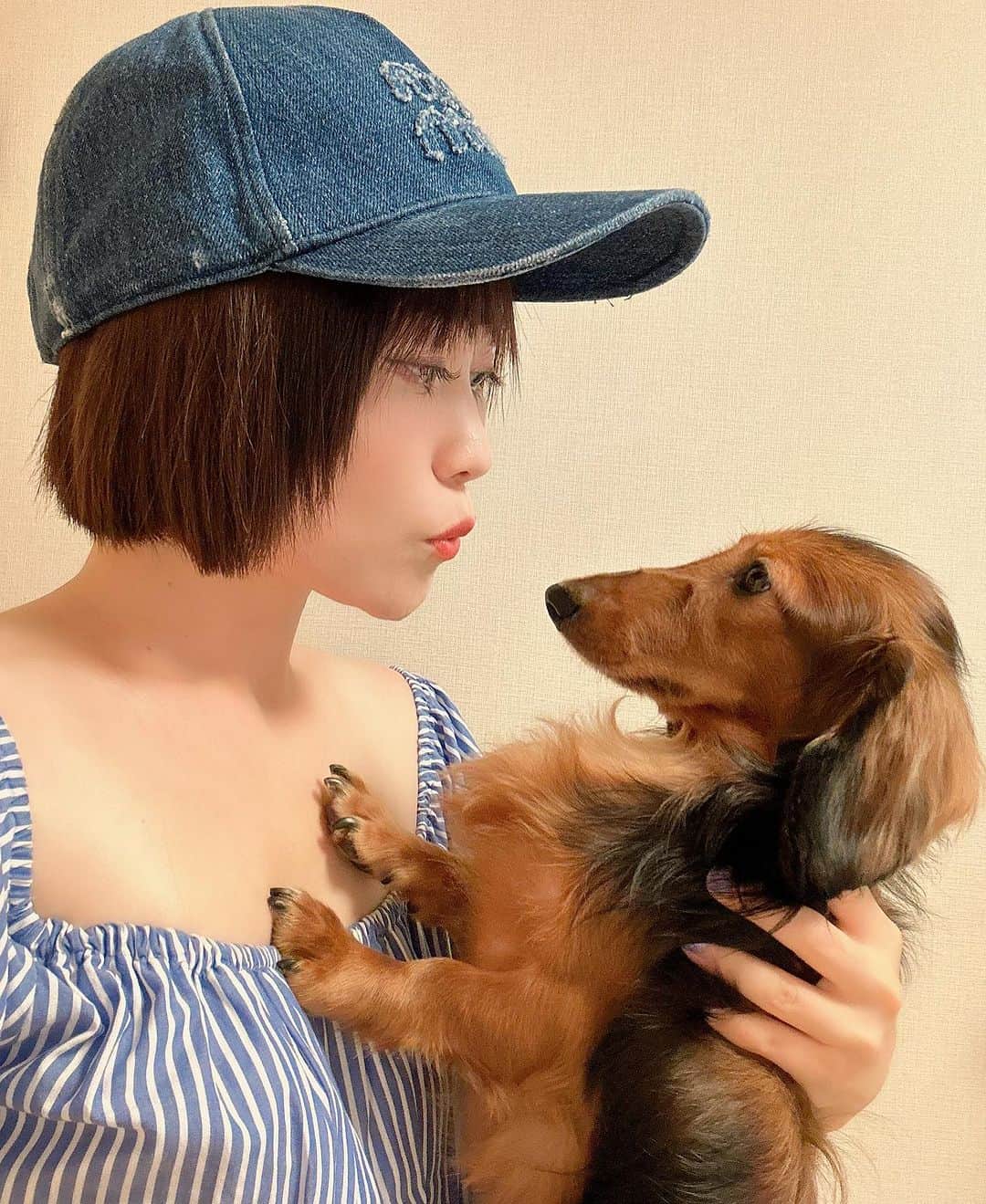 Karinのインスタグラム：「クレちゃん🐶  10/8で間もなく3歳を迎えようとしていますがかなりの甘えん坊くんです💜  うちに来てくれてありがとう🩷って毎日必ず伝えてます✨  天国からお兄ちゃんも見守ってくれてるね🐶  #犬 #犬のいる暮らし」