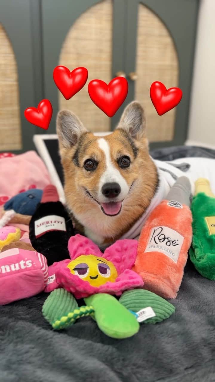Wal-Mart Stores, Incのインスタグラム：「It’s hard to heal a broken heart 💔 #ad   But whether it’s toys, treats, clothes or whatever the fluff your pup needs, @walmart has every product at the ready to keep pets happy. Mobile ordering has never been easier and everything is quickly delivered to our door.  #walmartpartner #walmart #dogdad #doglife」