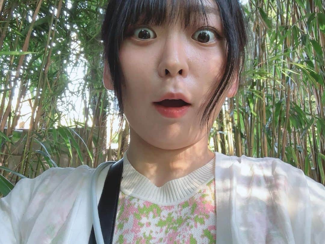 にゃんこスターさんのインスタグラム写真 - (にゃんこスターInstagram)「💡おニューエッセイ大更新💡  なんと！散歩の達人WEB「さんたつ」にて連載しているアンゴラ村長の「アンゴラ東京めぐり」がおかげさまでまだまだ続くことになりました！  あなたの1アクセスのおかげじゃん！ みんなに感謝じゃん！ ありがとうございます！  今回は表参道にある根津美術館で「庭園とは何か？」に全力でまったりしながら向き合ってきました🔥  癒されるはずなので、必ず読んでくださいね！ ▶️https://san-tatsu.jp/articles/259789/  ↑このURLをコピーして飛んで読むか、もしくはハイライト「エッセイ」からアクセスしてみてください！  #にゃんこスター #アンゴラ村長 #アンゴラ東京めぐり #根津美術館  #nezucafe  #散歩の達人 #さんたつ #エッセイ」8月30日 22時06分 - nyanco_star_pu_pu_mu