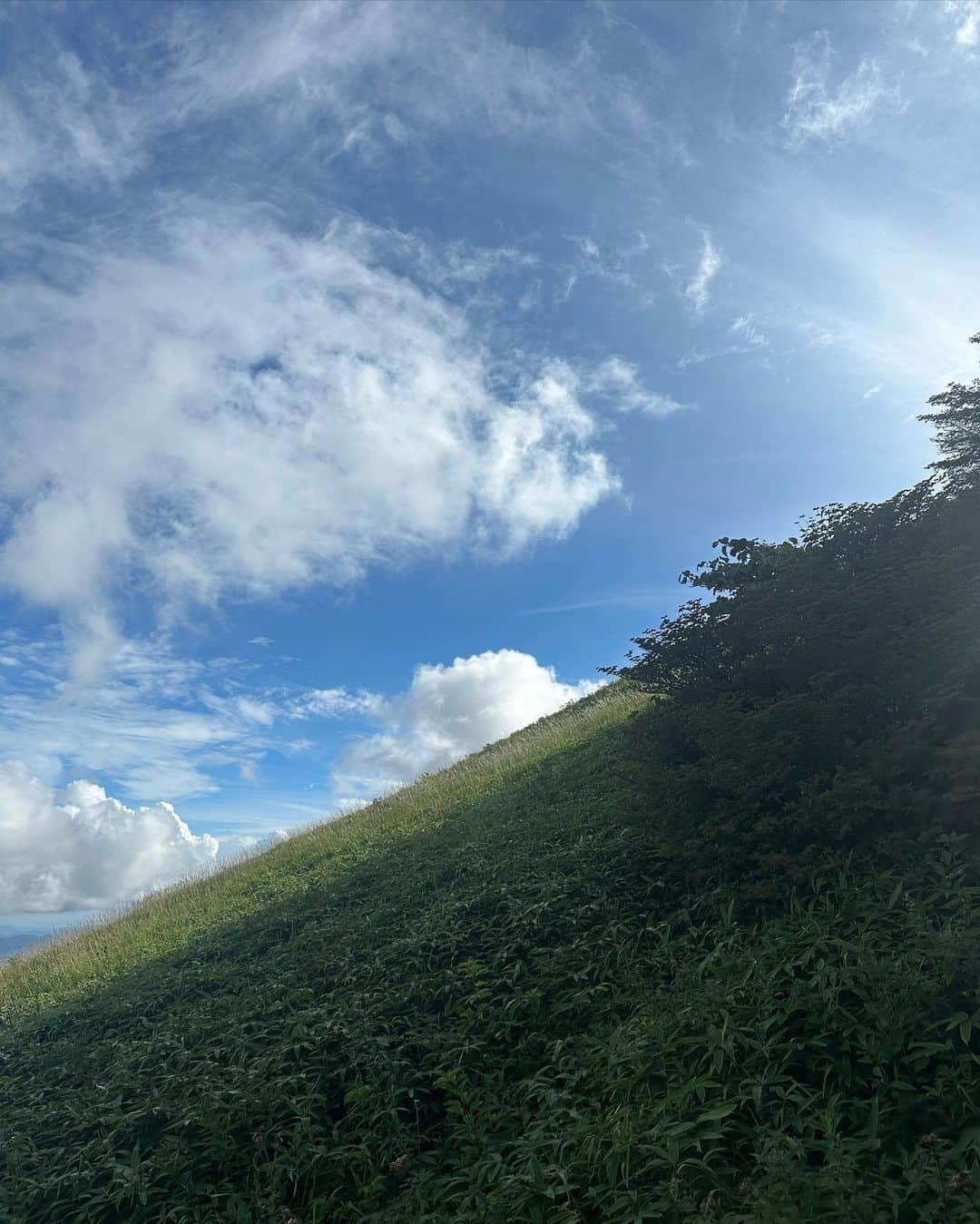 江藤百香さんのインスタグラム写真 - (江藤百香Instagram)「🫶 」8月30日 22時06分 - momokaeto