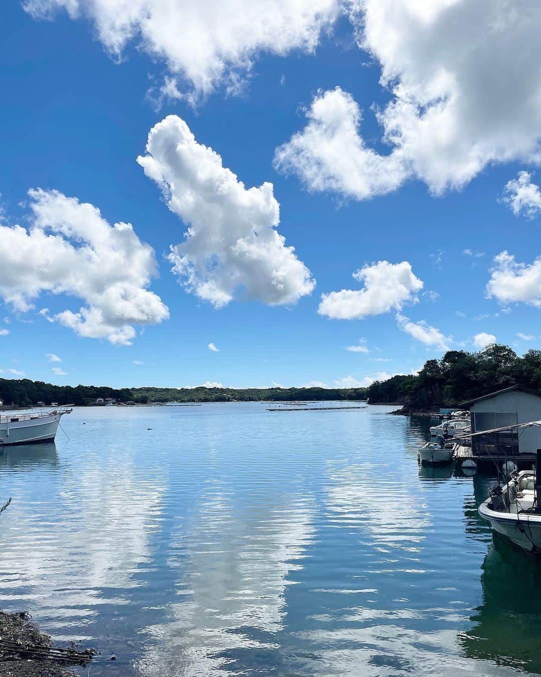 尾崎ななみのインスタグラム：「#三重  #志摩  ㅤㅤㅤㅤㅤㅤㅤㅤ三重県志摩市の#英虞湾 海と空！！ 無加工でこの濃いブルー💙  志摩だから見れる絶景🥹  海に映る空も綺麗だった〜。  ㅤㅤ  祖父×孫  あこや真珠養殖の風景。  ㅤㅤㅤㅤㅤㅤㅤㅤㅤㅤㅤㅤㅤㅤㅤㅤㅤㅤㅤㅤㅤㅤㅤㅤㅤㅤㅤ  ㅤㅤㅤㅤㅤㅤㅤㅤㅤㅤㅤㅤㅤㅤㅤㅤㅤㅤ  ㅤㅤㅤㅤㅤㅤㅤㅤㅤㅤㅤㅤㅤㅤㅤㅤㅤㅤㅤㅤㅤㅤㅤㅤㅤㅤㅤㅤㅤㅤㅤㅤㅤㅤㅤㅤ #三重県#志摩市#伊勢志摩#あこや真珠#英虞湾#絶景スポット#伊勢志摩アンバサダー#尾崎ななみ#shimastagram」