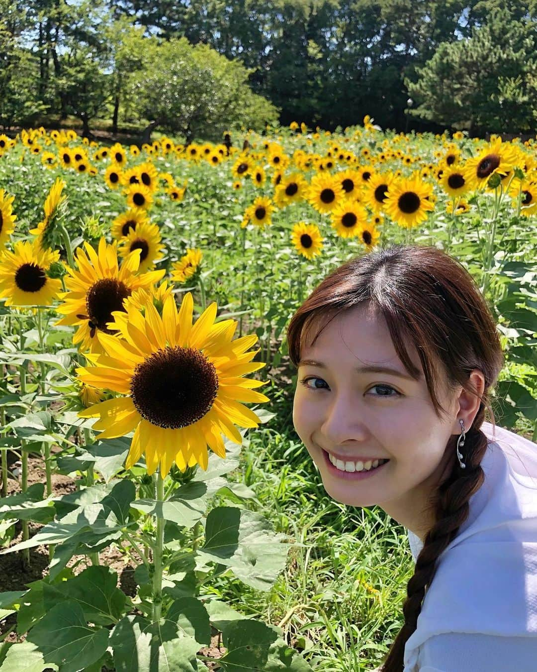 望木聡子のインスタグラム：「そろって太陽の方を向いている🌻 わたしにとっての太陽は、今も変わらず 同じ空の下で同じ時を過ごしている皆さんです。 皆さんの方をまっすぐ向いて これからもがんばります☀️  少し気が早いですが 9/22(金)夜8時半からインスタライブする予定です〜  #ひまわり #向日葵 #ひまわり畑 #sunflower #夏 #残暑 #summer #汗だく #三つ編み #編みおろし #ロングヘア #メーテレ #アナウンサー #メーロメロアンバサダー #望木聡子」