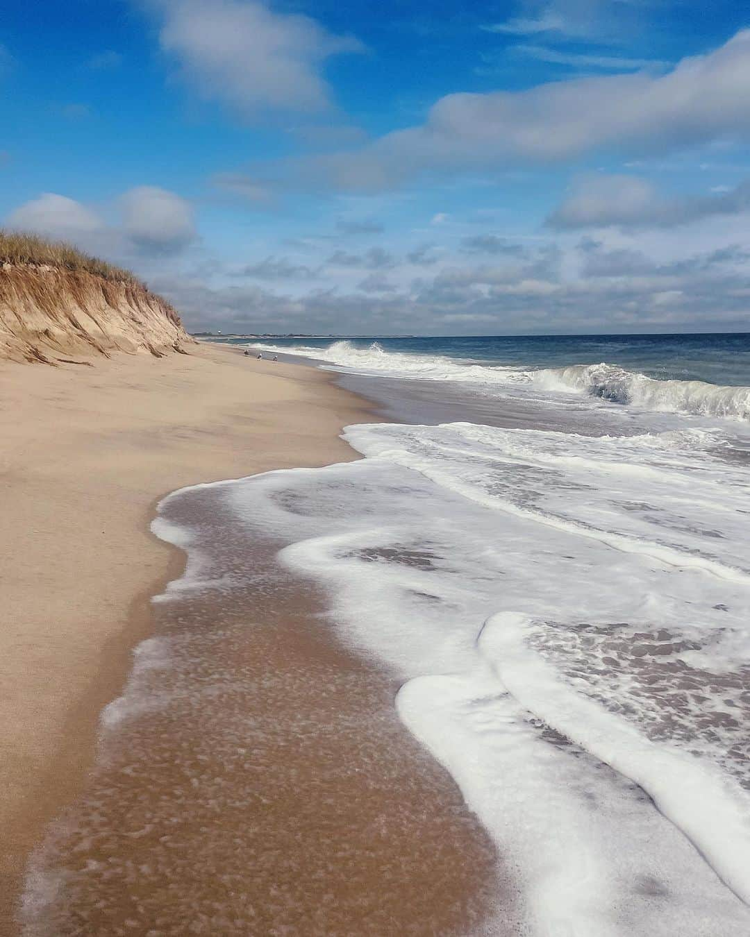 アンディ・ドーフマンさんのインスタグラム写真 - (アンディ・ドーフマンInstagram)「But which is the most Nantucket-y of the photos? ⚓️」8月30日 22時43分 - andidorfman