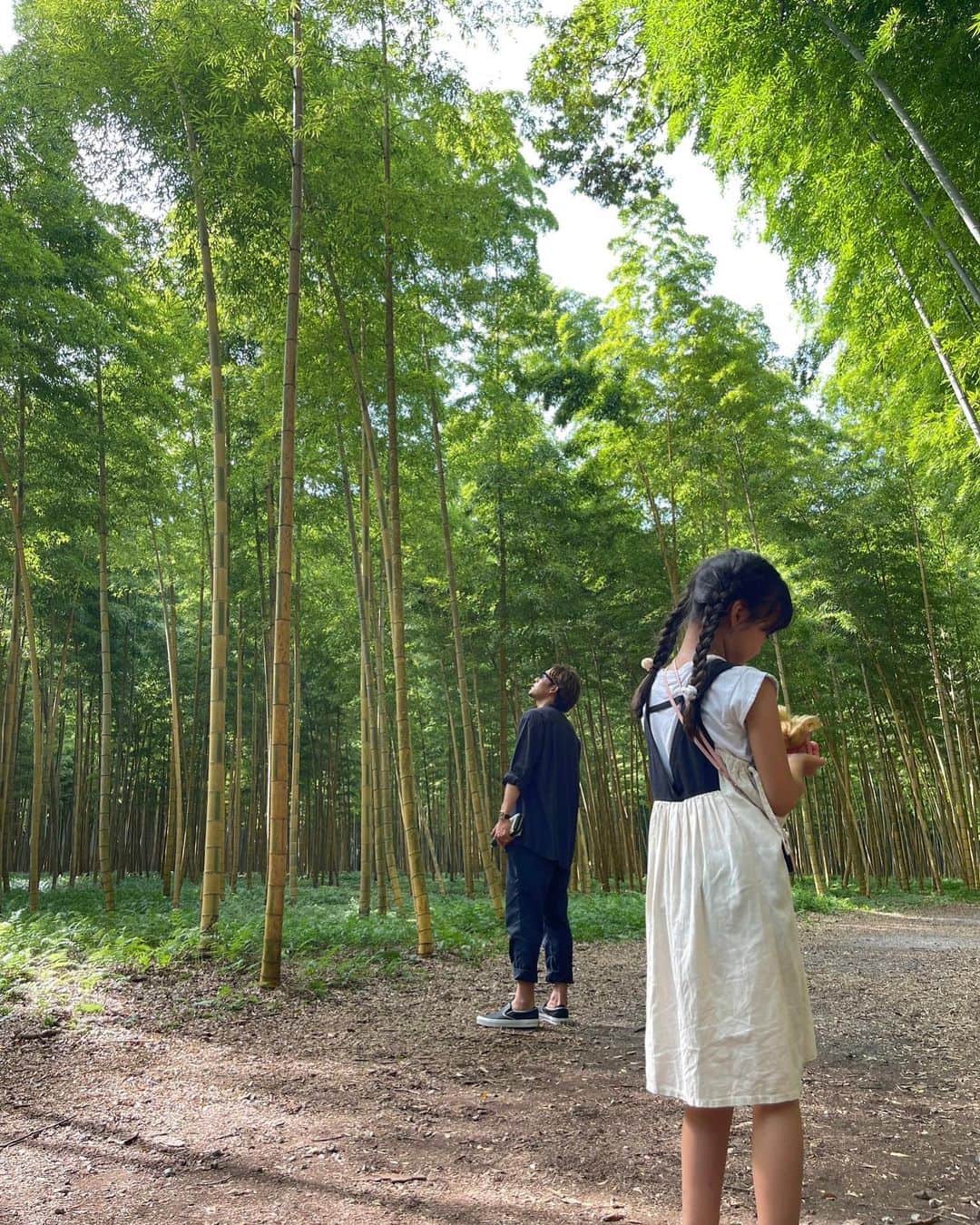 細貝萌さんのインスタグラム写真 - (細貝萌Instagram)「竹。🟢🟢🟢」8月30日 22時44分 - hajime_hosogai_official