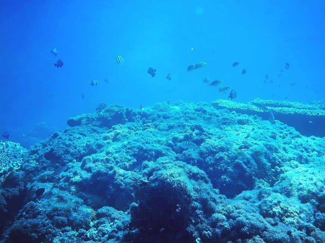 みやかわくんさんのインスタグラム写真 - (みやかわくんInstagram)「こんなにも神秘的で美しい島で生まれ育つ事ができた奇跡に改めて感謝だなあ  今は都会の波に揉まれて生活をしてるけどたまに帰ると包み込むように迎えてくれる温かい島の人達と明媚な自然に何度心を救われたんだろうか  大好きな仲間と一緒にこの場所で過ごす時間は本当に特別でした。  また行こうね。」8月30日 22時57分 - my_kwk_n