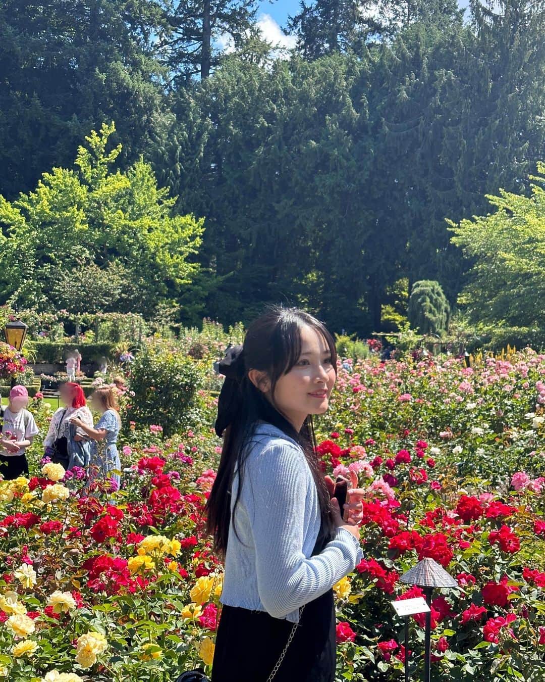 のインスタグラム：「💐 　 　 　 　　 たくさんのお花に囲まれて幸せだった〜   季節ごとによってお花が変わるので何度行っても楽しめると思います！ 　　 The flowers are changed depends on the season, so we can see different sort of flowers 💐 　 　 #canada #カナダ #カナダ留学 #留学生活 #留学日記 #rose #バラ #thebutchartgardens」