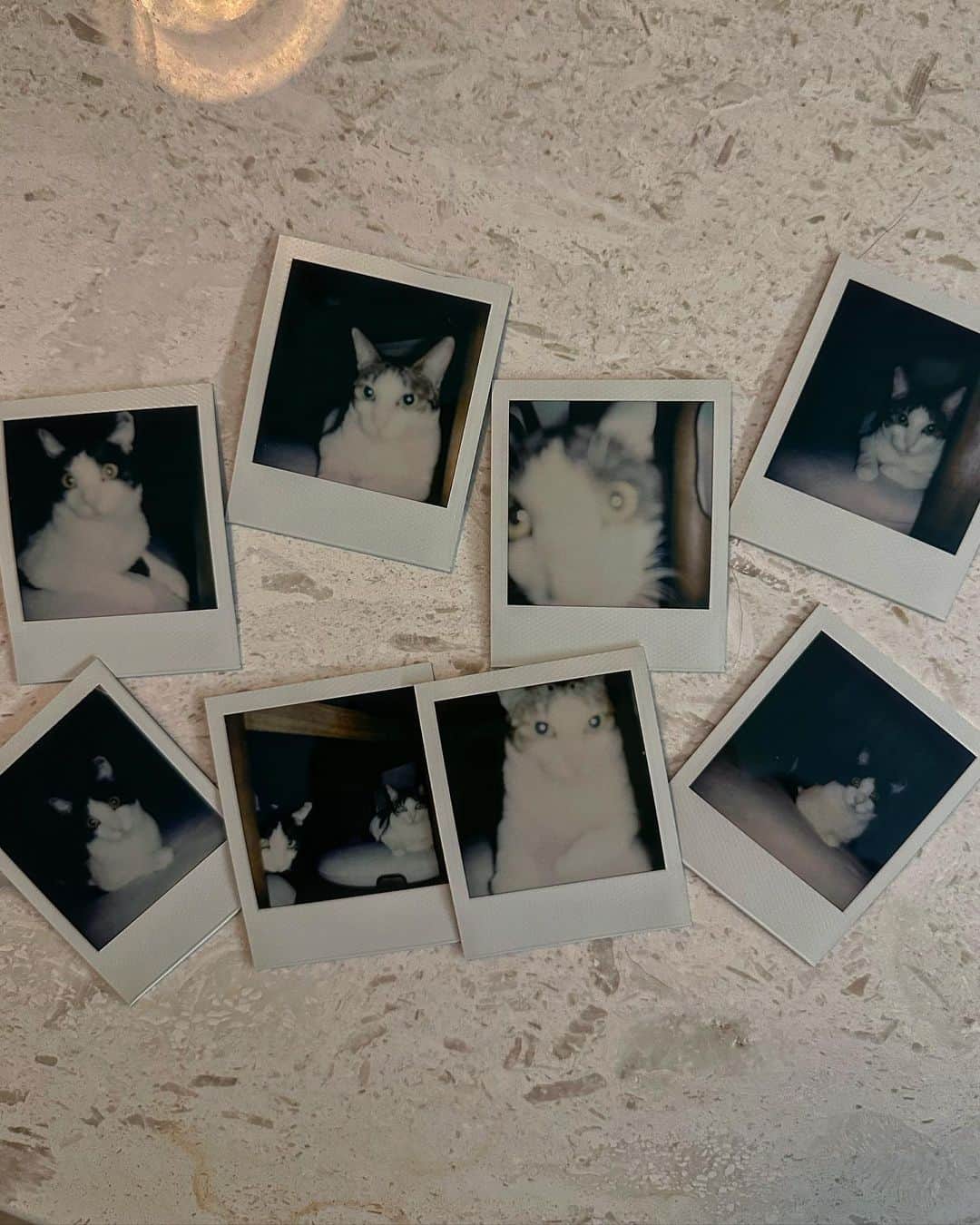 のインスタグラム：「❤️‍🔥」