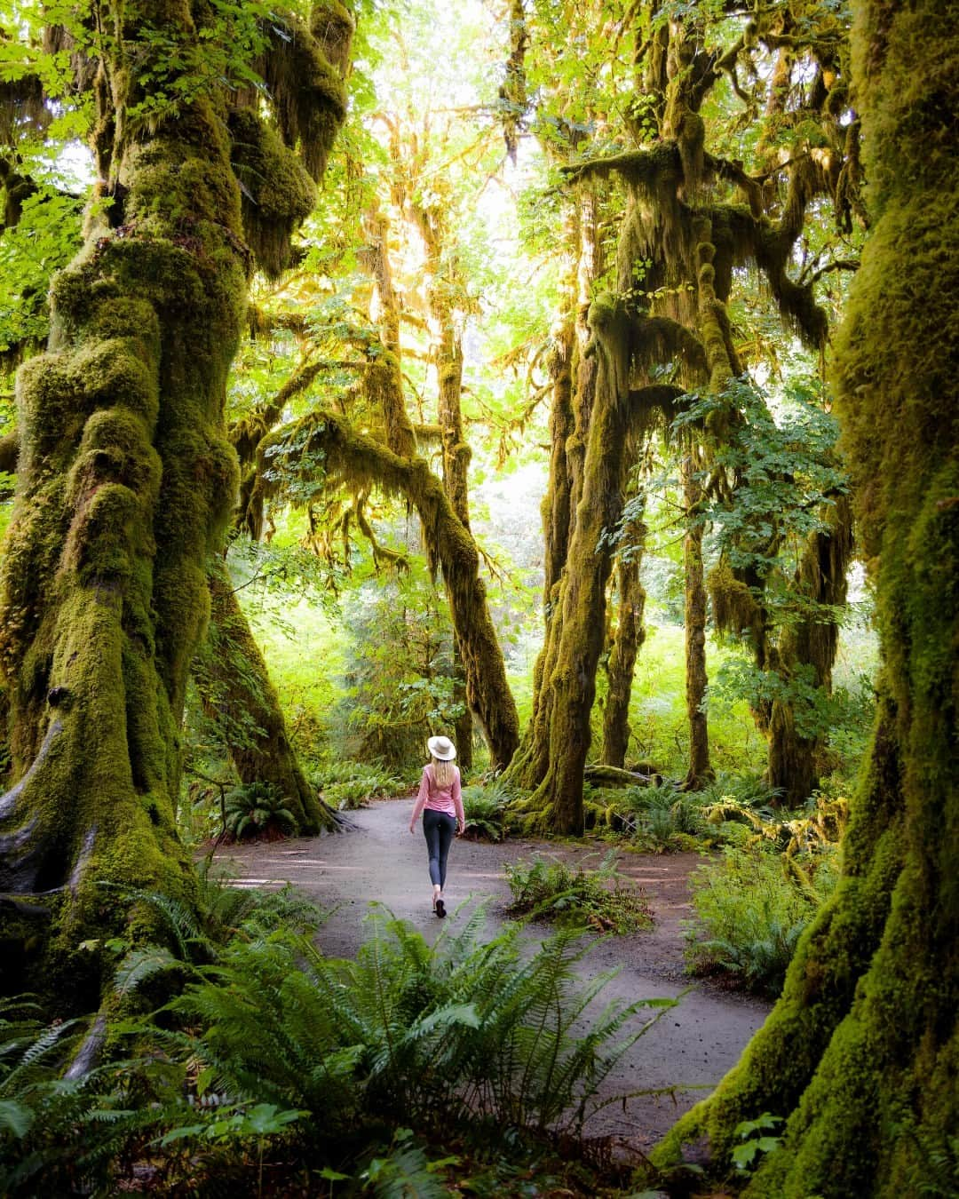 L.L.Beanのインスタグラム：「@slc_travels found a trail that looks like it's straight from the pages of a storybook. What's the most amazing place you've ever hiked? #BeanOutsider」