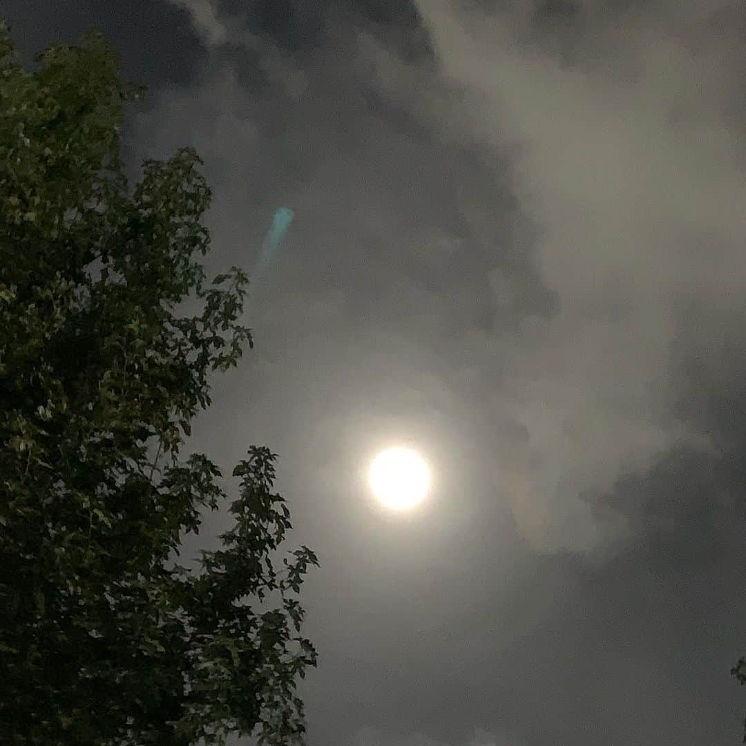 TGMX aka SYUTA-LOW TAGAMIさんのインスタグラム写真 - (TGMX aka SYUTA-LOW TAGAMIInstagram)「人生初の火球？隕石？らしきものを見た！この写真の緑はたまたまのなんかの光ですが、キレイな緑色で、月より大きく感じた★彡　一緒過ぎて「？」となるね。」8月30日 23時56分 - tgmx
