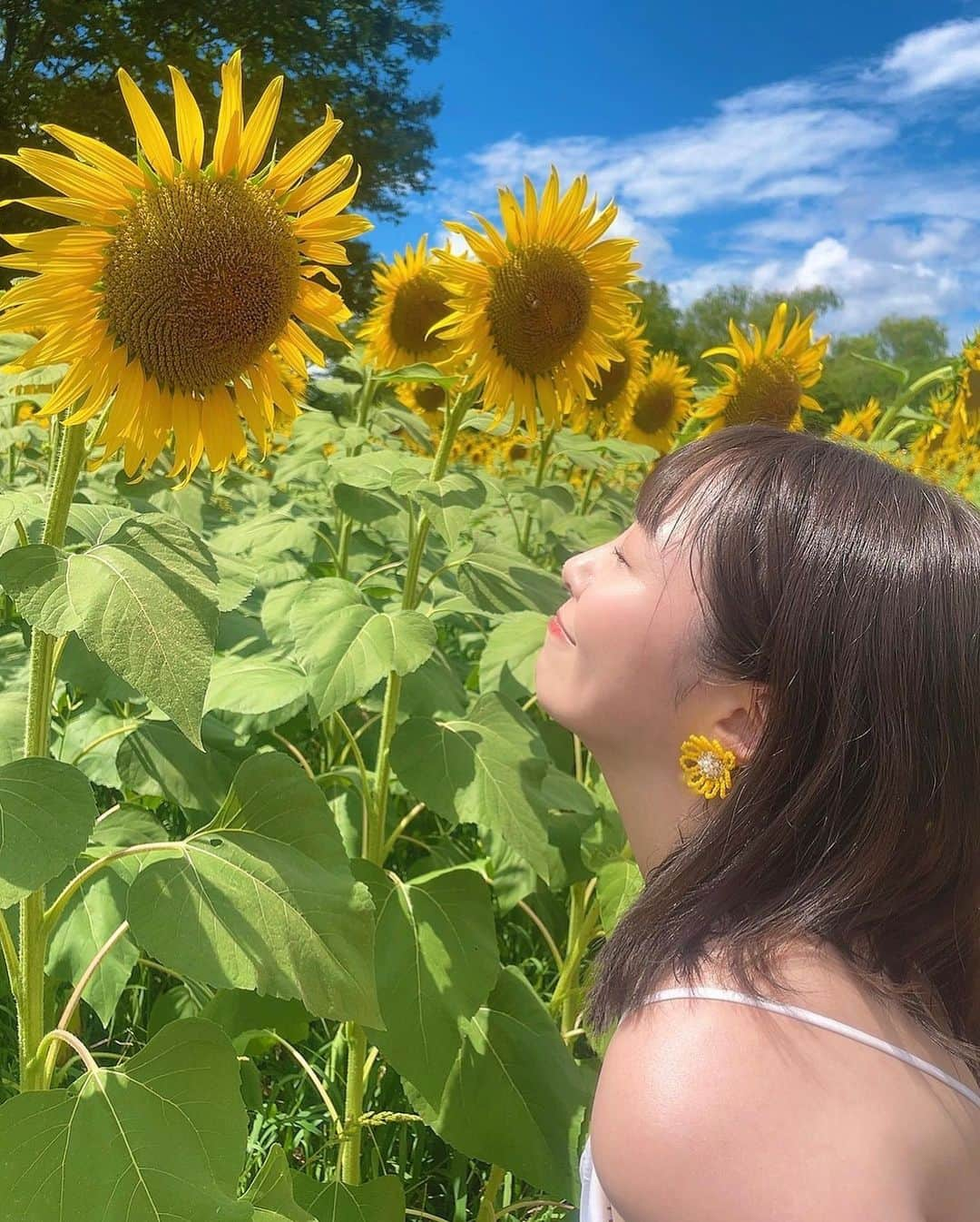 佐々木晴花さんのインスタグラム写真 - (佐々木晴花Instagram)「・ ・ 🌻8/31🌻 Happybirthday!!! HARUHARU😚🎈🎈  沢山の人に出会い、笑顔と優しさを1人でも多くの方に届けられる素敵な女性を目指していきたいなと思います🌻  まだまだ未熟ですが自分を信じてワクワクする事に挑戦して楽しんでいきます🏃‍♀️✨✨  1つ皆さんにお願いです。 佐々木はポジティブとかたくましいとか色々皆さん言ってくれるのだけど、意外と弱くて寂しがり屋な一面があるのでこれからも側にいて下さいっ🫣🤍⋆꙳  心強い味方でいて下さい🍺✨  これからもよろしくお願いします🌈 ・ ・ ・ #誕生日#8月31日 #8月31日生まれ  #野菜の日 #誕生日おめでとう 🎂🎉👸🌻 #佐々木晴花 #はるはる #女優#俳優 #ダンサー#アーティスト#YouTuber #アラサー女子  #出会いに感謝#これからも素敵な出会いがありますように  #フォロワーさんに感謝  #推してください #推してくれたら喜びます  #いつもありがとう #これからもよろしくね  #リプ返します 💌💭」8月31日 0時20分 - haru2n.run