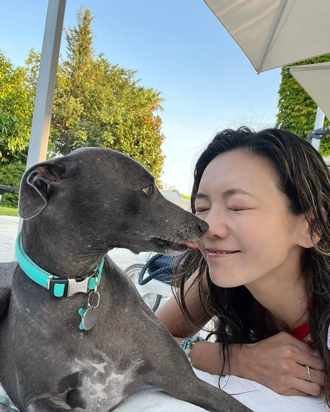 和央ようかさんのインスタグラム写真 - (和央ようかInstagram)「My new friend 🦮 Soo graceful ❤️  新しいお友達🐕 美しく、優雅❤️見習いたい😝😝😝  #takakoworldstylin🌎 #新しいお友達#yokawao#和央ようか」8月31日 3時25分 - yokawao0215