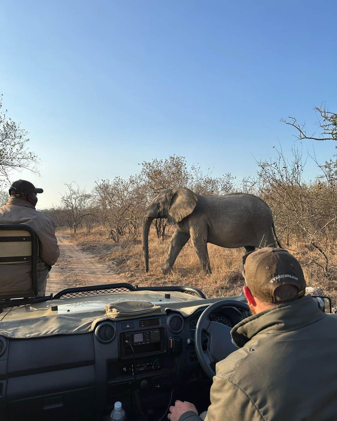 Nia Sioux Frazierさんのインスタグラム写真 - (Nia Sioux FrazierInstagram)「get in loser we’re going on a safari #ABDinSouthAfrica #hosted」8月31日 5時02分 - niasioux