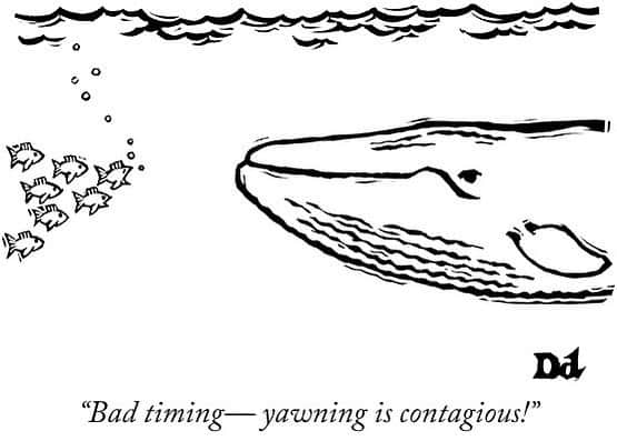 The New Yorkerさんのインスタグラム写真 - (The New YorkerInstagram)「A cartoon by @drewdernavich. #NewYorkerCartoons」8月31日 6時10分 - newyorkermag