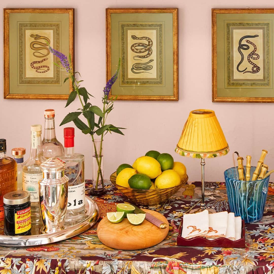ELLE DECORのインスタグラム：「Entry closets can host more than a pileup of sad winter coats. Houses & Parties (@housesandparties) founder Rebecca Gardner’s entry closet in her Greenwich Village apartment has been transformed into a candy-colored party bar, complete with a slipcover in a @brunschwigfils fabric and Albertus Seba snake prints. And how does she take a measure of a party’s success? “When someone calls in the morning and tells me, ‘I had a screaming blast, I feel like hell,’” she says. Which happens every morning after, like clockwork.   Click the link in our bio for the full cover story. Written by @katebolickate. Photographed by @annieschlechter. Styled by @bebehoworth.」