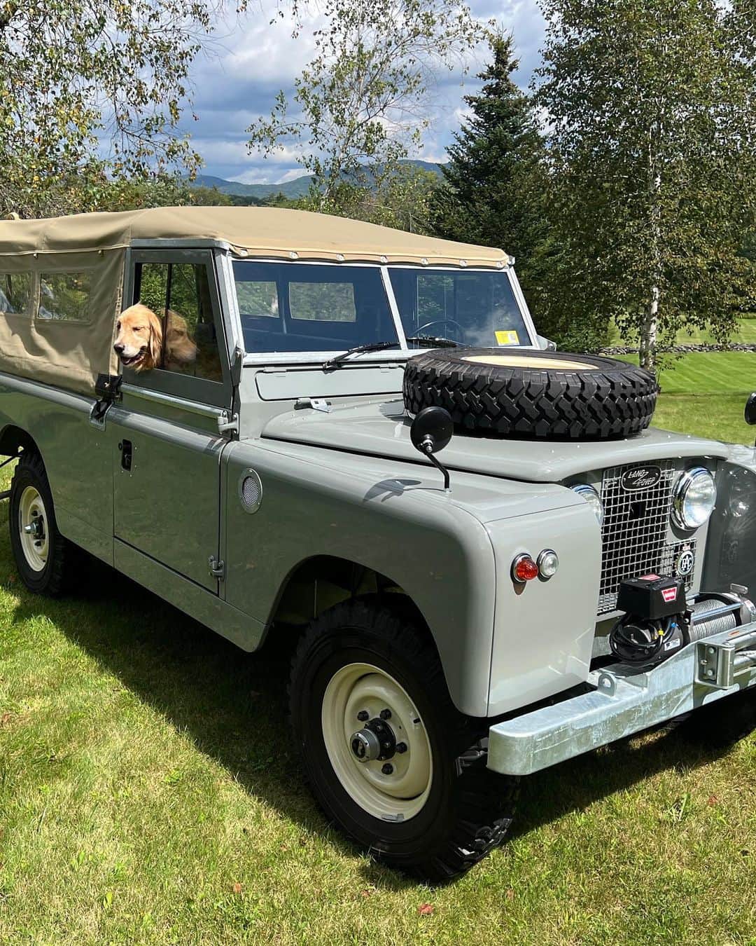 ポール・ベタニーのインスタグラム：「Dear @northamericaoverland Wallis is loving the truck.」