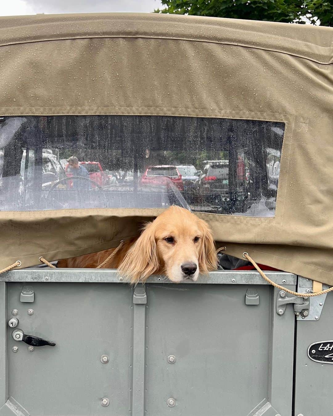 ポール・ベタニーさんのインスタグラム写真 - (ポール・ベタニーInstagram)「Dear @northamericaoverland Wallis is loving the truck.」8月31日 6時41分 - paulbettany