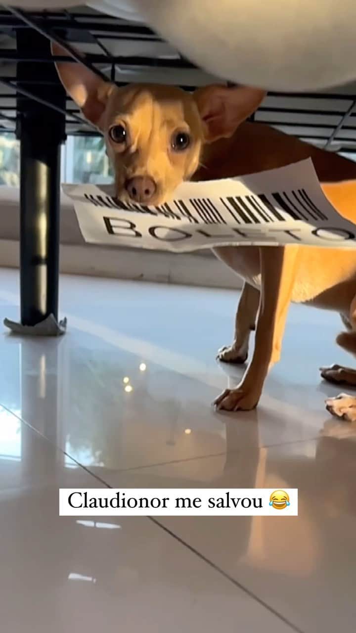 Gabriela Salesのインスタグラム：「Comprar é fácil, quero ver é pagar os boletos kkk. Entrando na trend da musiquinha do meu jeito. Com direito a participação especial do Belo Claudionor me salvando no final 😅😅」